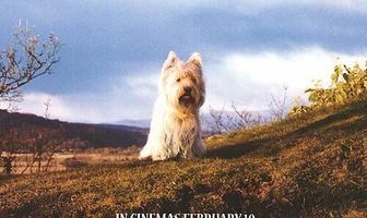 Малыш Бобби