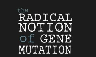 The Radical Notion of Gene Mutation