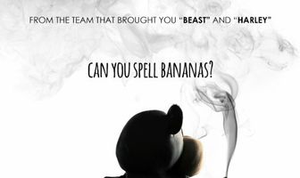 Mr. Bananas