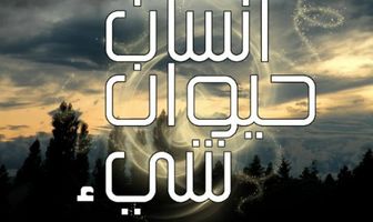 Insan Hayawan Chay'