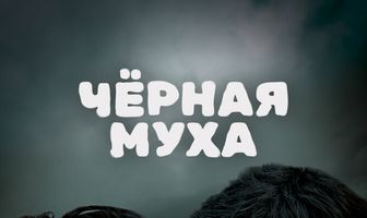 Черная муха