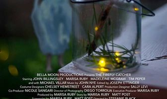 The Firefly Catcher