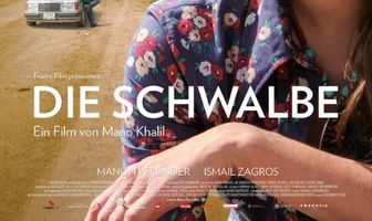 Die Schwalbe