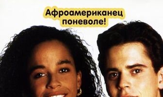 Свой в доску