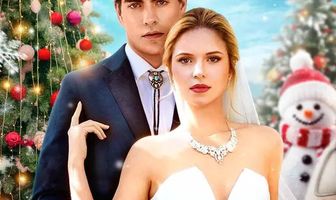 Муж-миллиардер на новогодние праздники