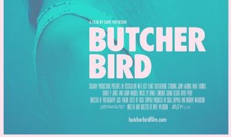 Butcherbird