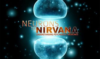 От нейронов к нирване: Медицинское применение психоделиков