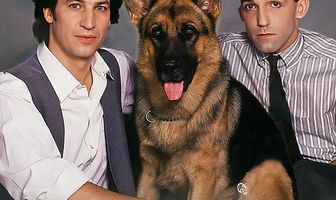 Комиссар Рекс