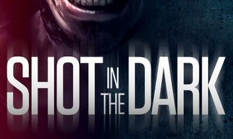 Выстрел в темноте