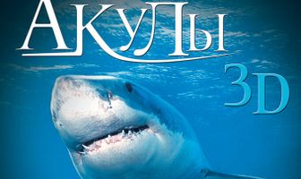 Акулы 3D