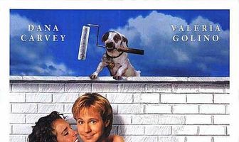 Стерлось из памяти