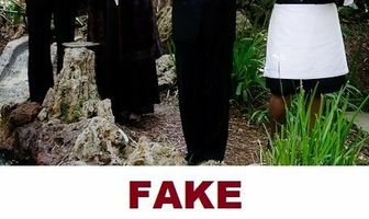 Fake