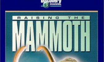 Raising the Mammoth