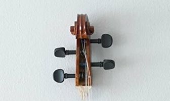 The Cello Player