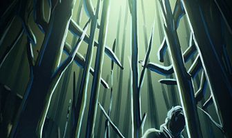Woods