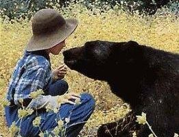 Goldy: The Last of the Golden Bears