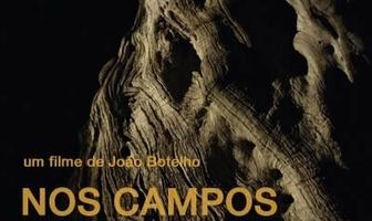 Nos Campos em Volta