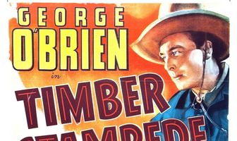 Timber Stampede