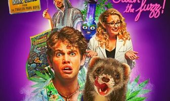 Dude, Where's My Ferret?