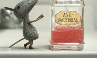 Идеальный гость