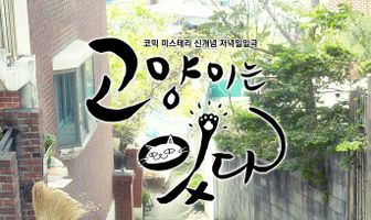 Мой дорогой кот