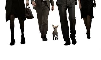 Аферисты поневоле