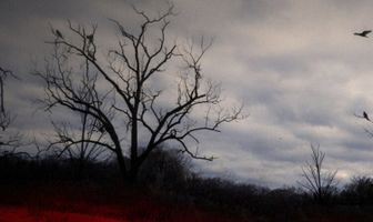 Кровавая родня