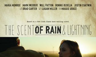 Запах дождя и молнии