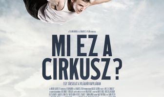 Что за цирк?