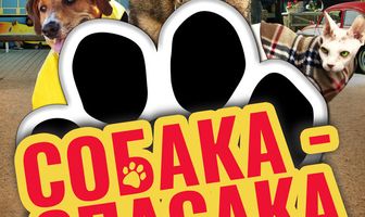 Собака-спасака
