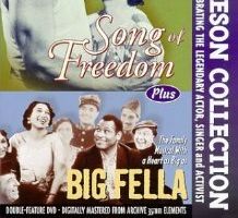 Большая шишка