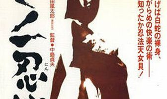 Kunoichi ninpo