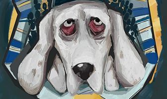 Bark Mitzvah