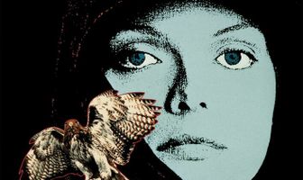 Леди-ястреб