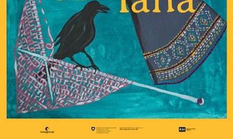 La farfalla di lana