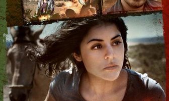 Враждебная граница