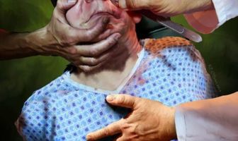 American Guinea Pig: Bloodshock