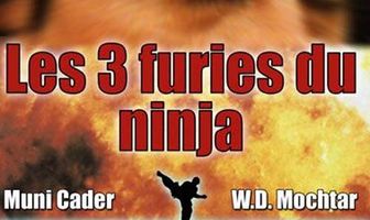 Месть ниндзя