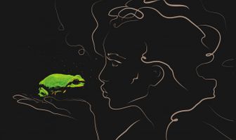 Frosch, Schenkel und Prinzen