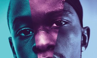 Лунный свет