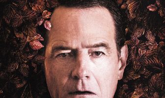 Во всем виноват енот