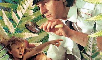 Необыкновенные приключения Карика и Вали