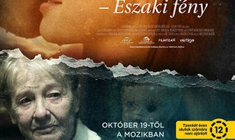 Аврора Бореалис: Северное сияние