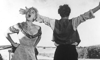 Улыбки летней ночи