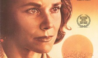 Разделенный мир