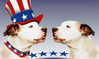 Пес и нищий