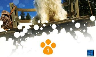 Рождество с Вилли Гавом