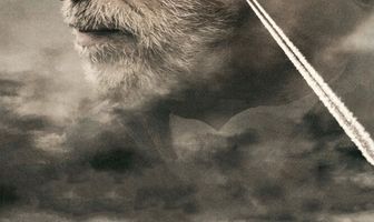 Последствия