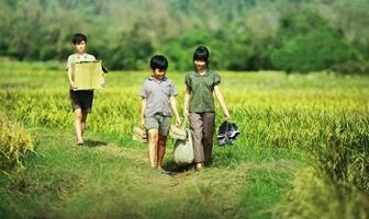 Желтые цветы на зеленой траве