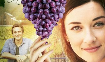 Любовь на винограднике